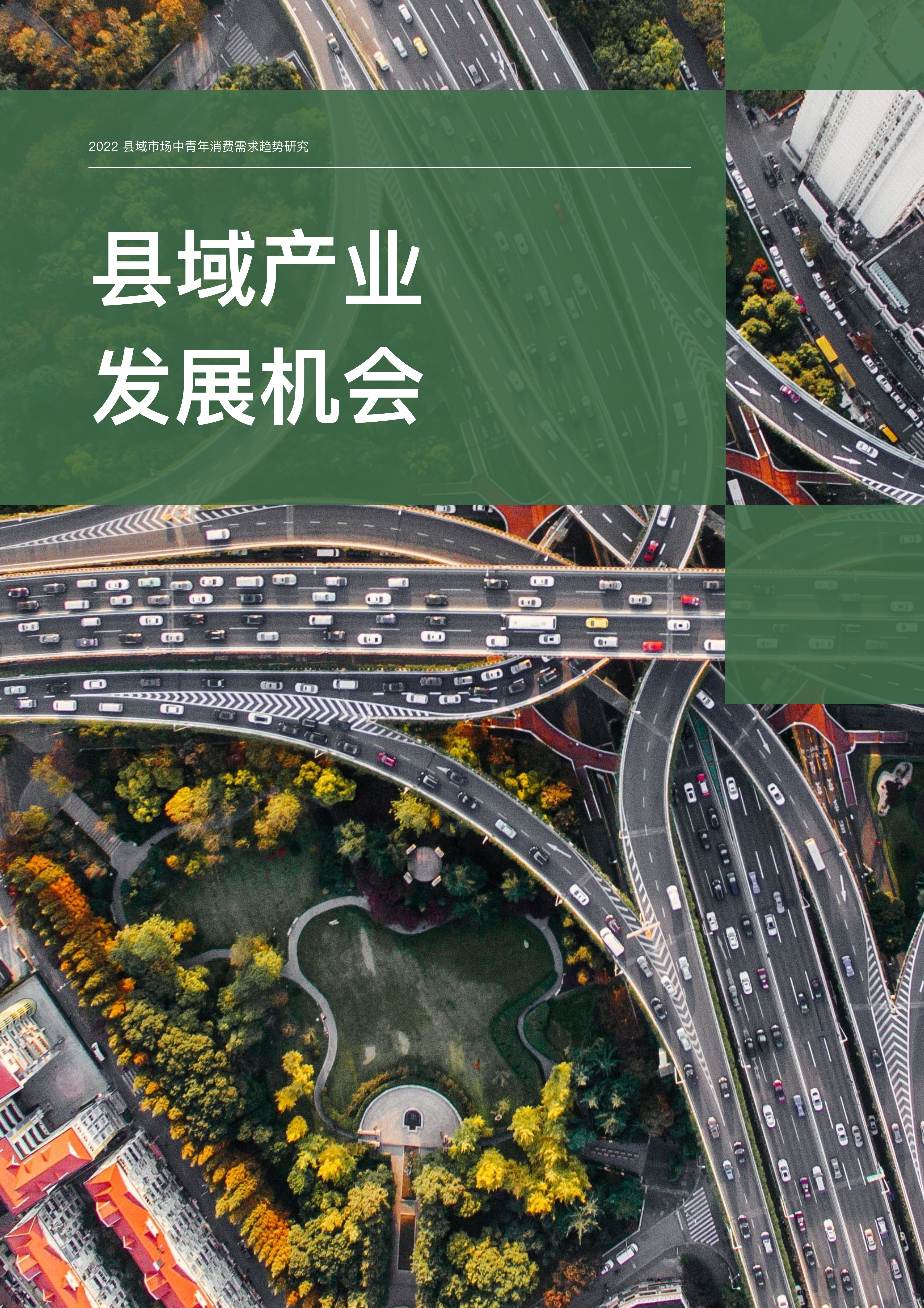 【02消费专题】县域市场中青年消费需求趋势研究_37.png