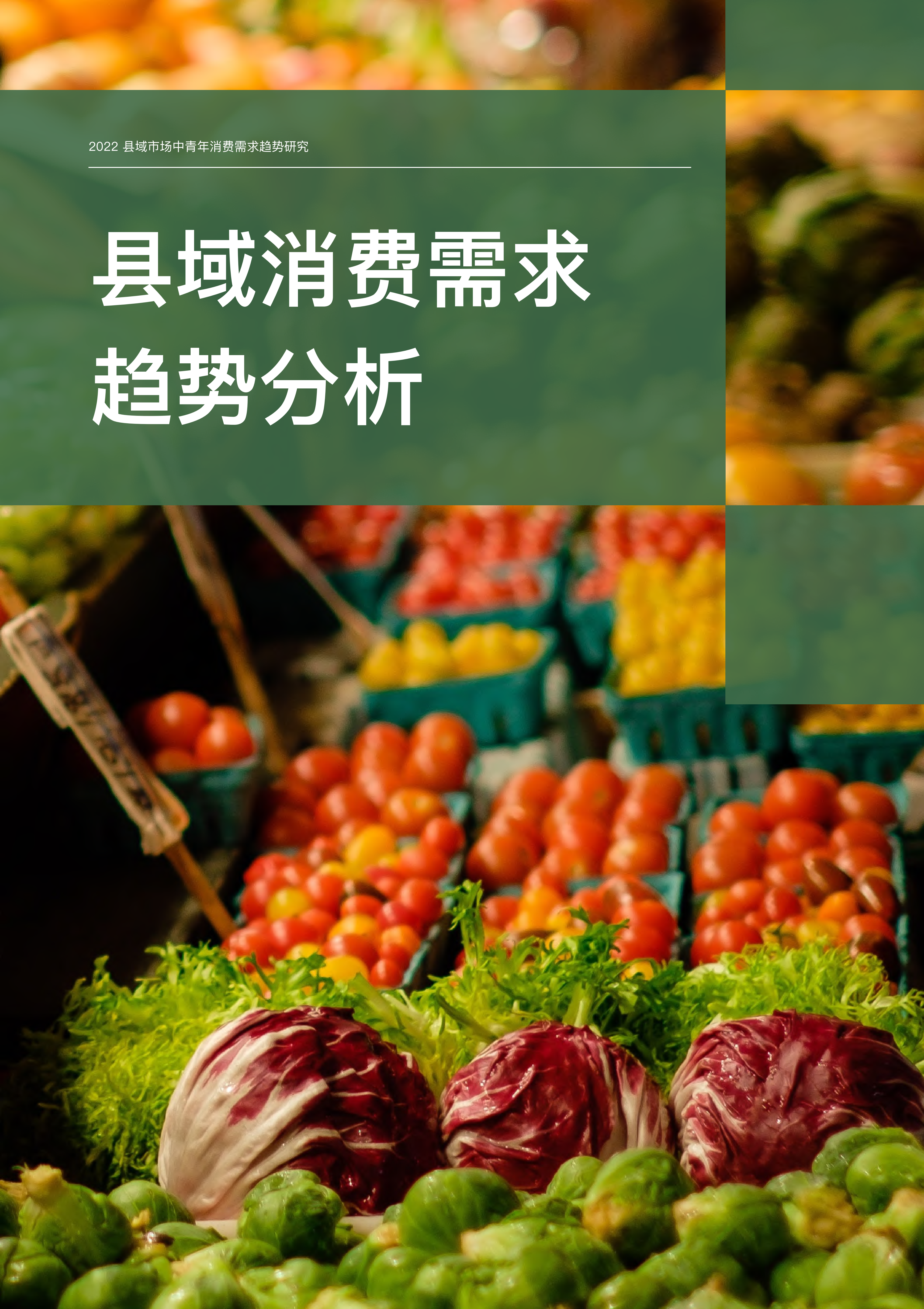 【02消费专题】县域市场中青年消费需求趋势研究_09.png