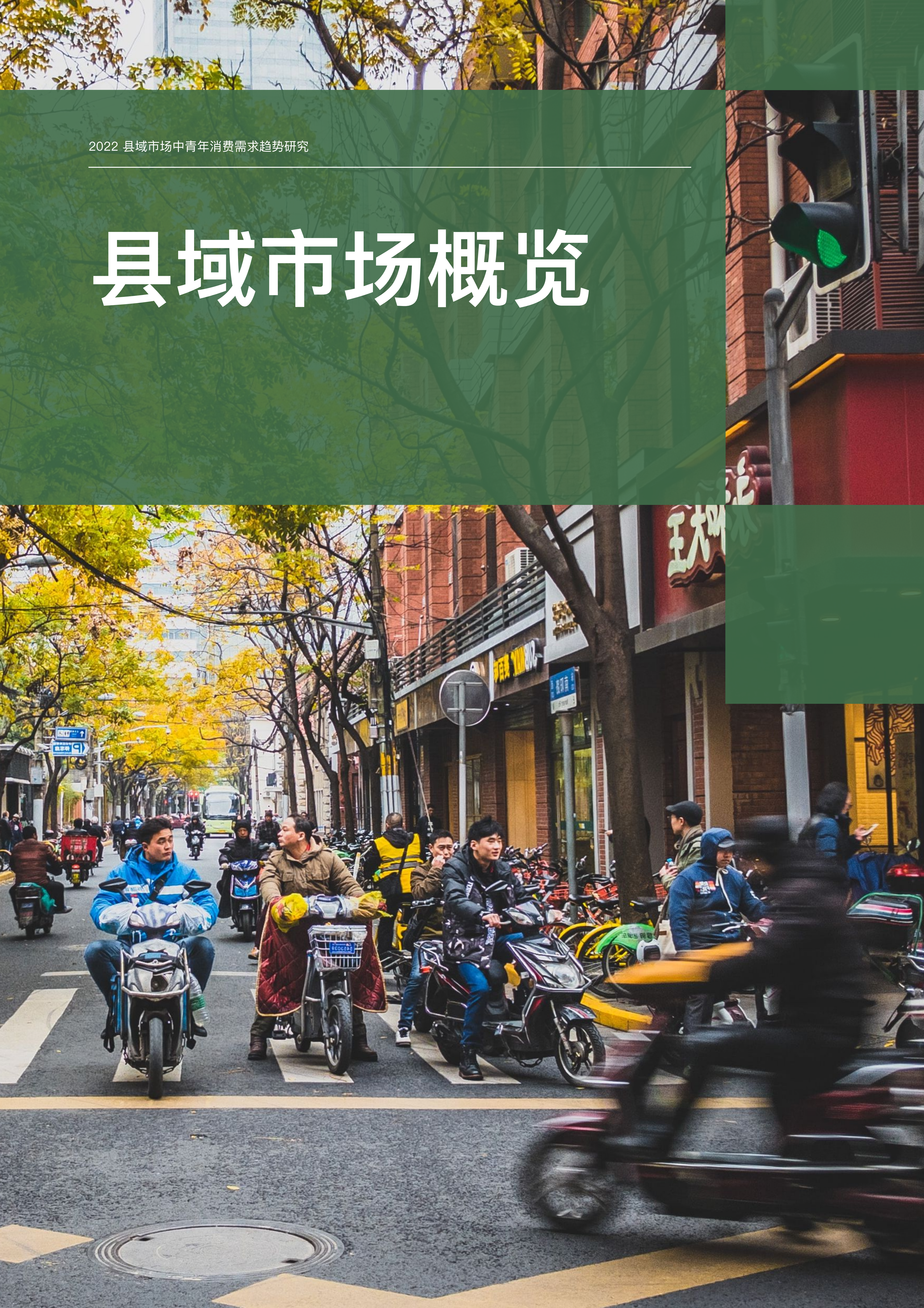 【02消费专题】县域市场中青年消费需求趋势研究_05.png